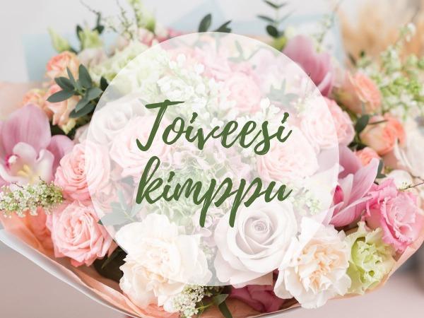 1272_large Toiveesi kimppu