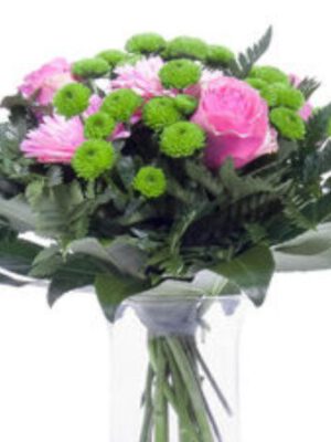 Kimppu Piristystä päivääsi