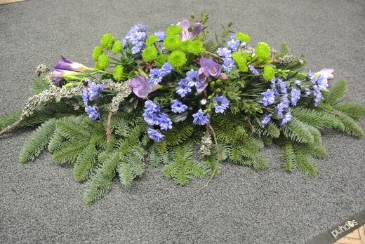 Arkkulaite Metsäinen